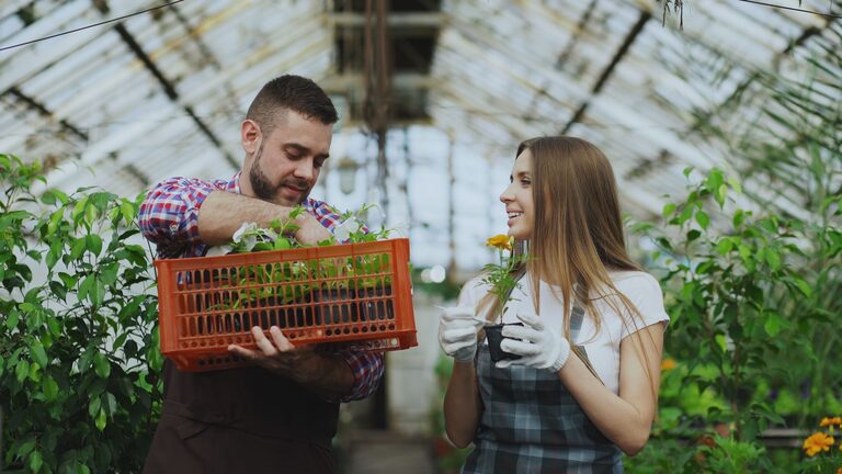 Tips for Creating a Beautiful and Low-Maintenance Garden Year-Round